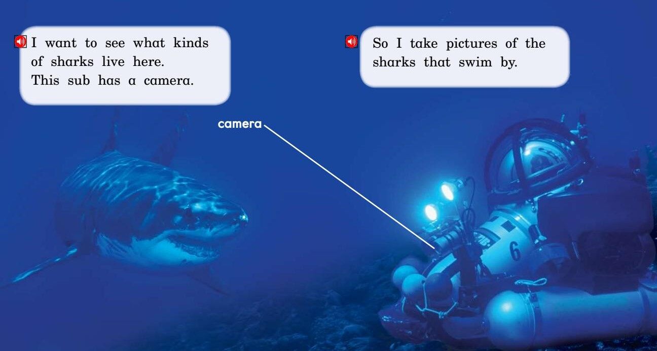 Into the Sea绘本故事第5页