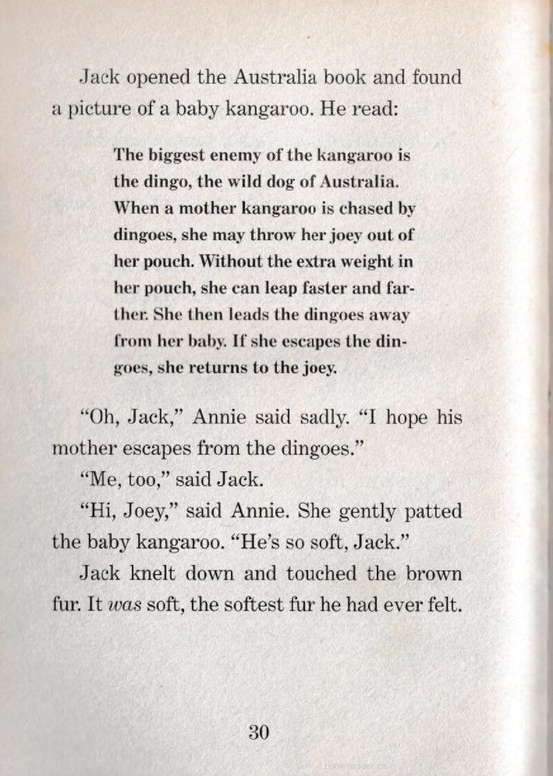 04 Joey绘本故事第5页