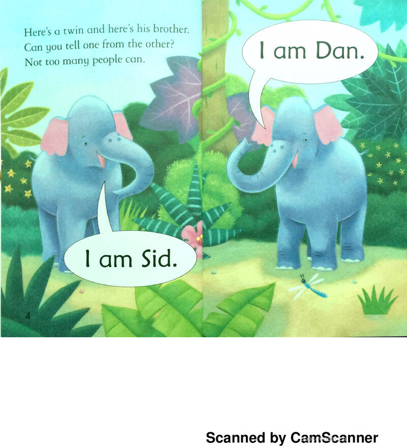 Double Trouble绘本故事第3页