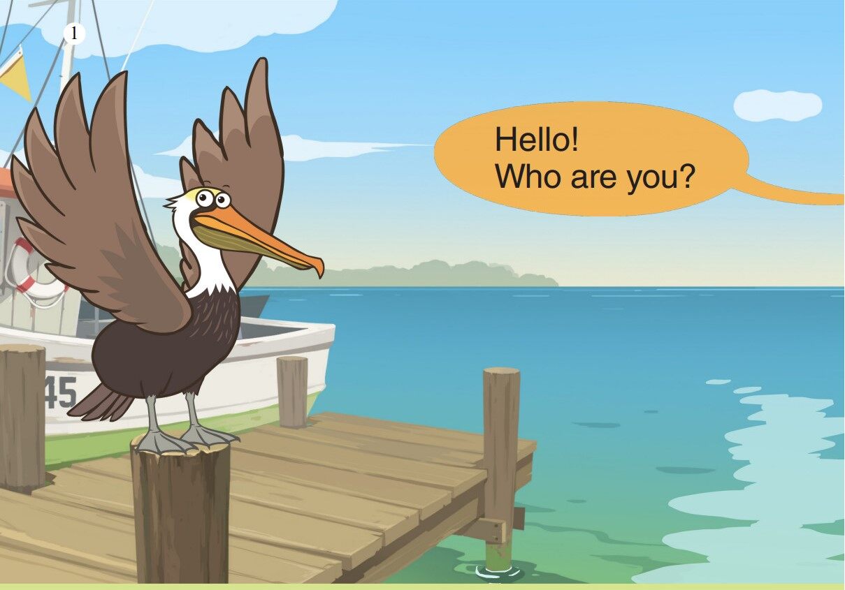 Brown Pelican绘本故事第2页