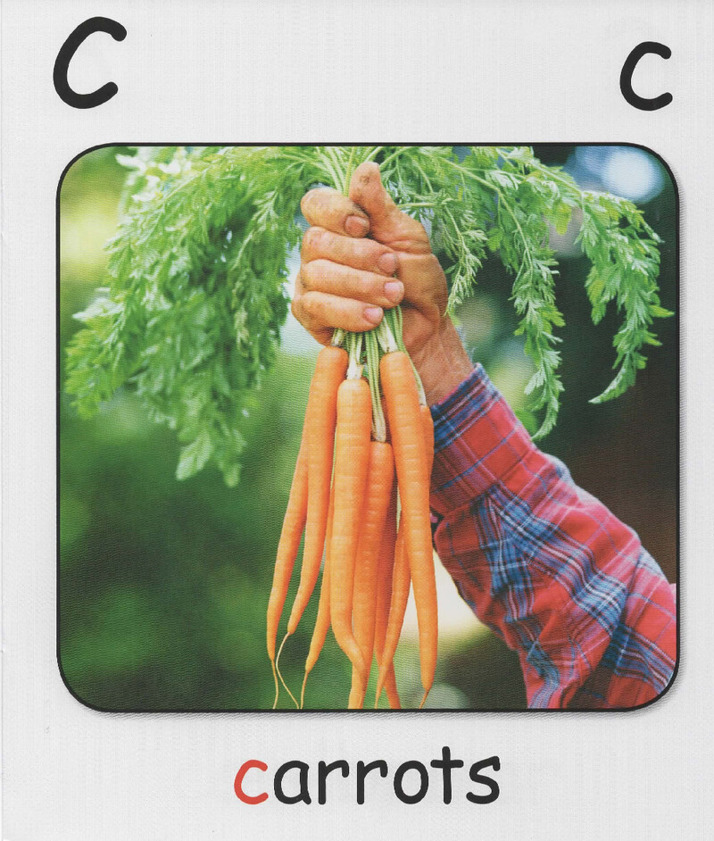 c绘本故事第5页