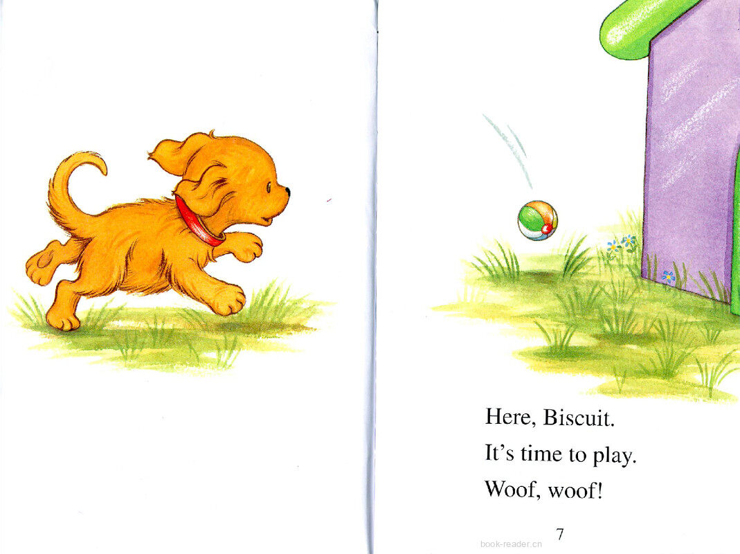 Biscuit and the Little Pup绘本故事第3页