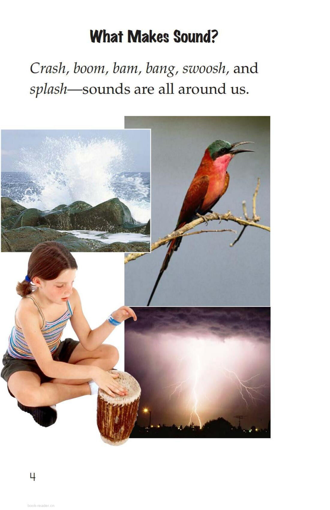 Sound All Around绘本故事第3页