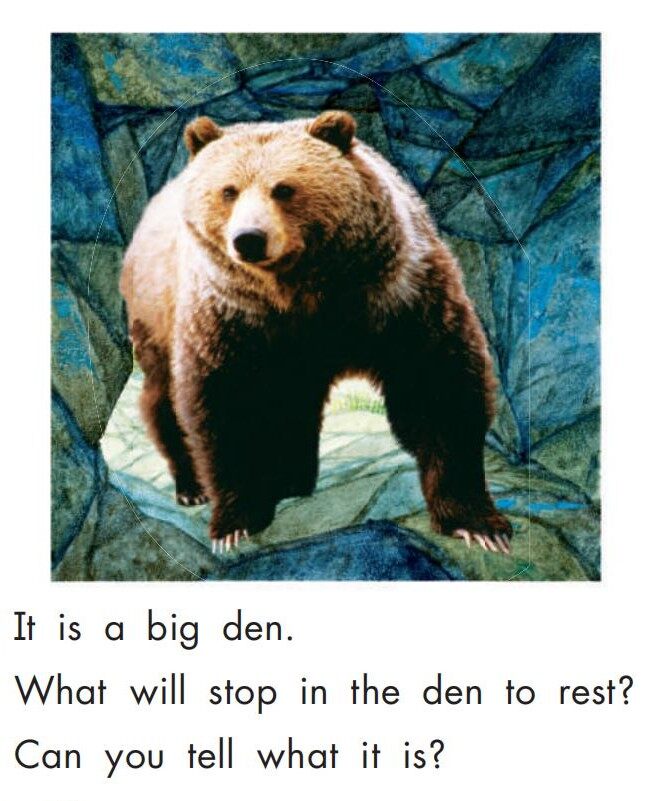 Animals at Home绘本故事第5页