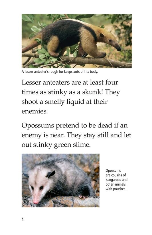 Nature Stinks!绘本故事第5页