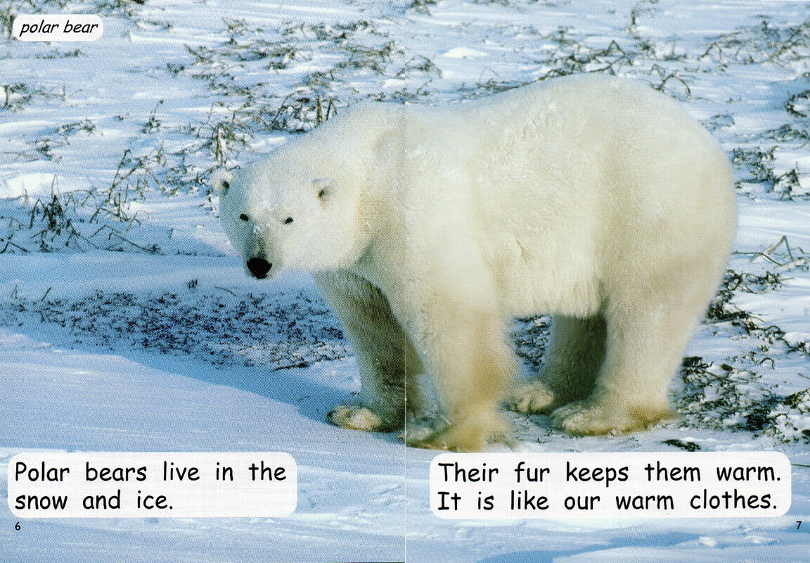 out in the snow绘本故事第5页