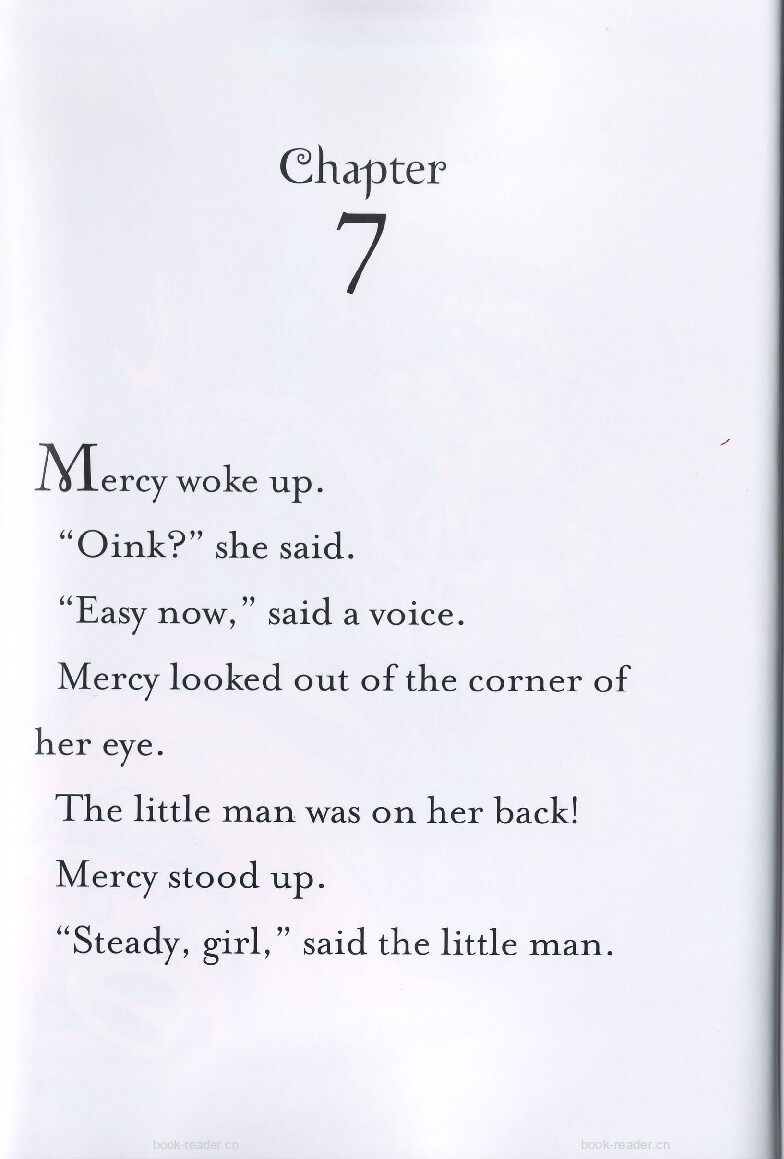 3-07 Mercy Watson Fights Crime绘本故事第2页