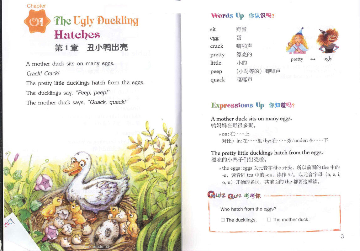 The Ugly Duckling 丑小鸭绘本故事第3页