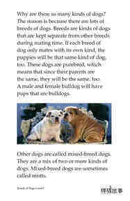 Breeds of Dogs绘本故事第4页