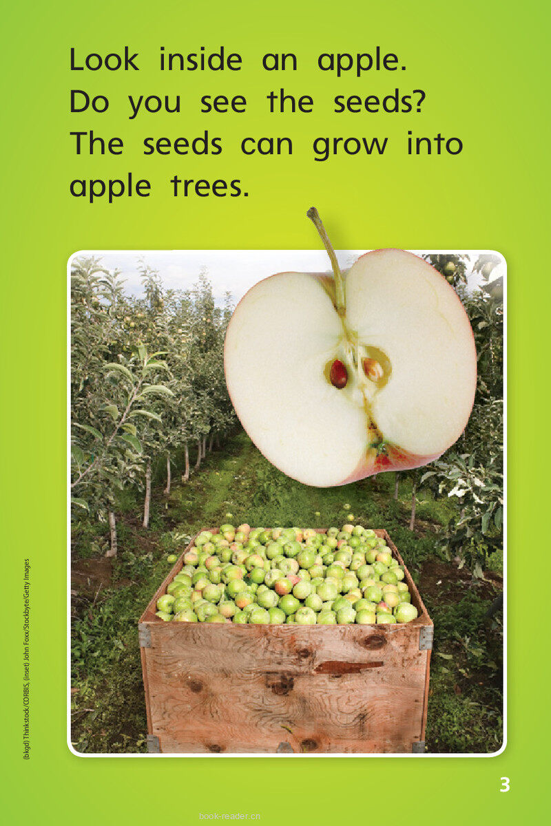 G1 App U3W5 Apples from Farm to Table绘本故事第5页