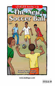 The New Soccer Ball