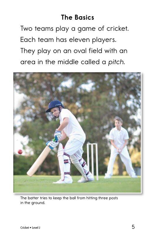 Cricket绘本故事第4页