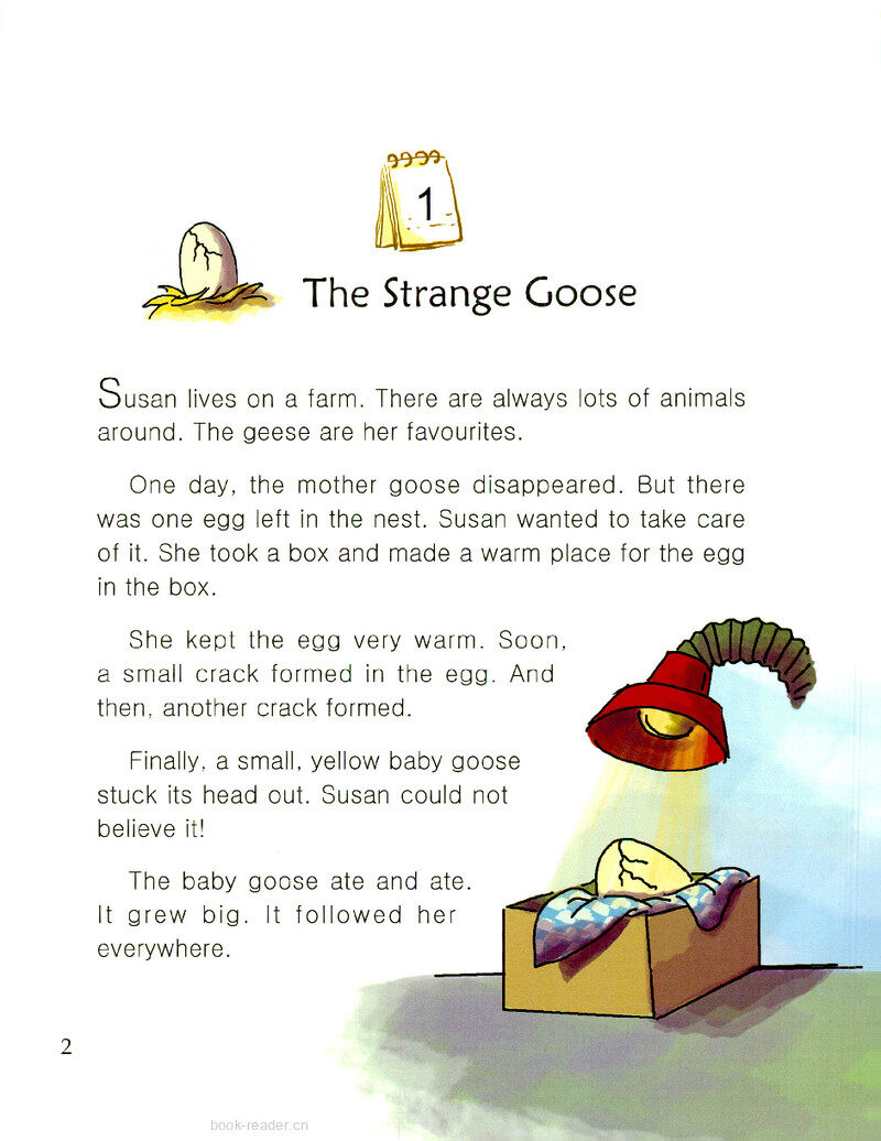The Strange Goose绘本故事第3页