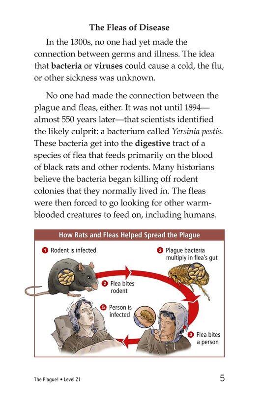 The Plague!绘本故事第4页