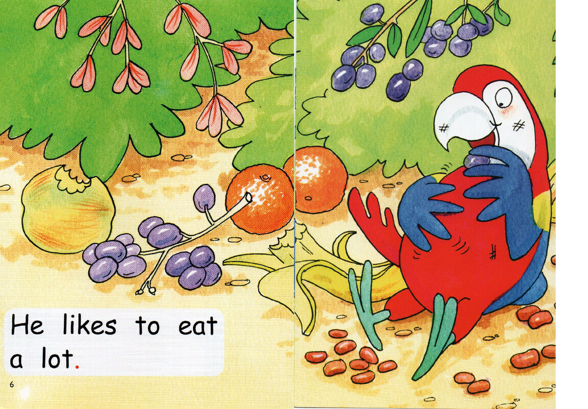 stickybeak the parrot绘本故事第5页