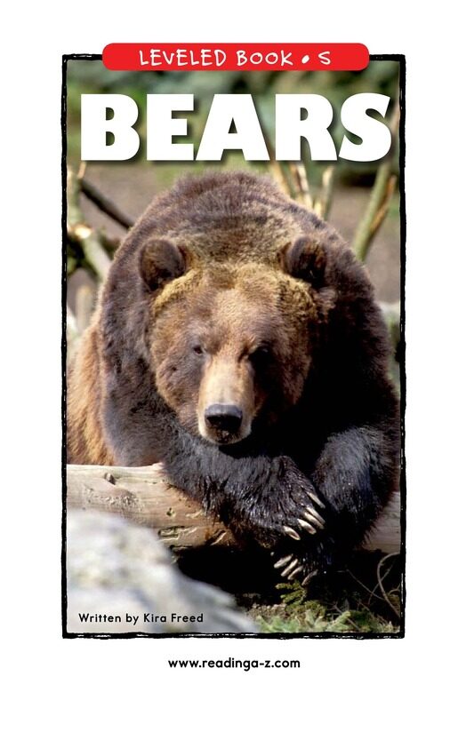 Bears绘本故事第2页