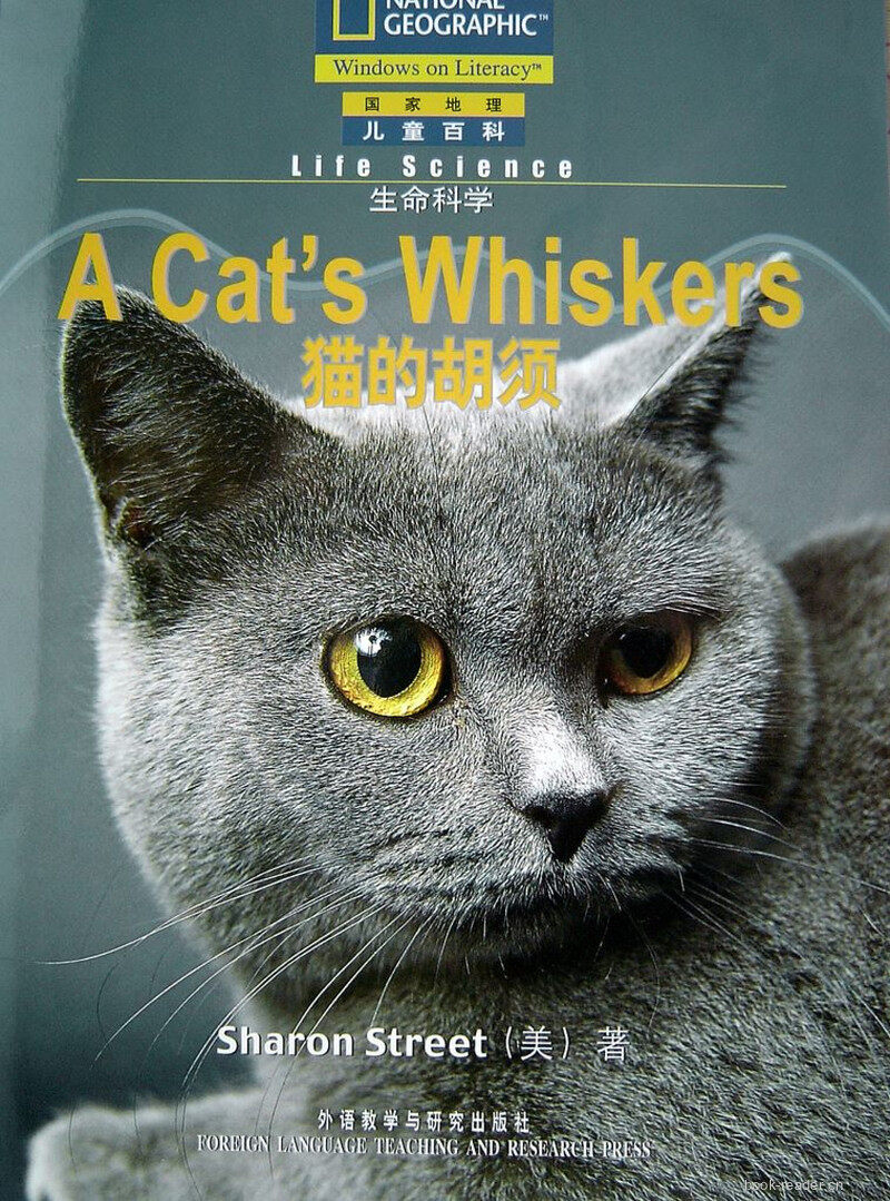 A Cats Shiskers绘本故事第2页