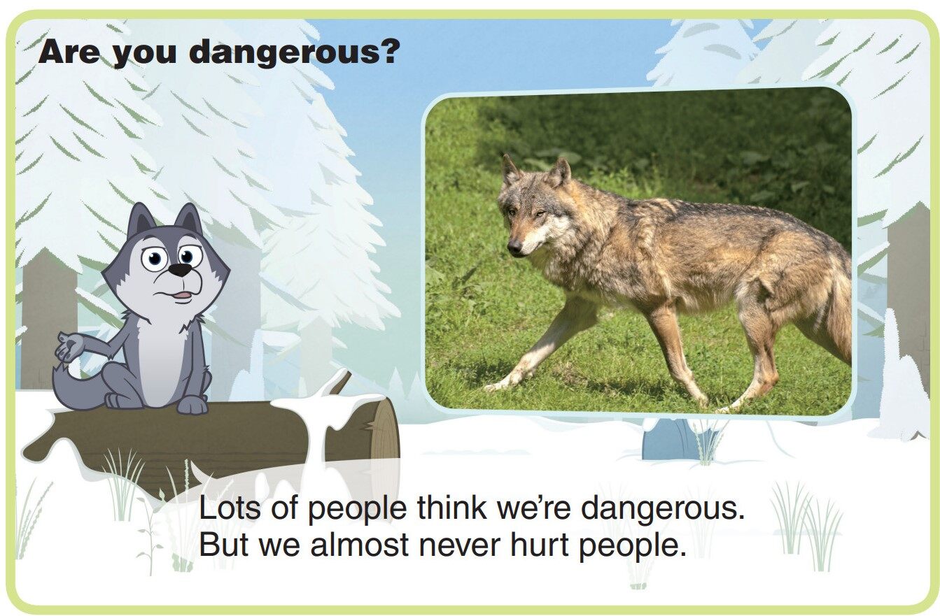 Gray Wolf绘本故事第5页