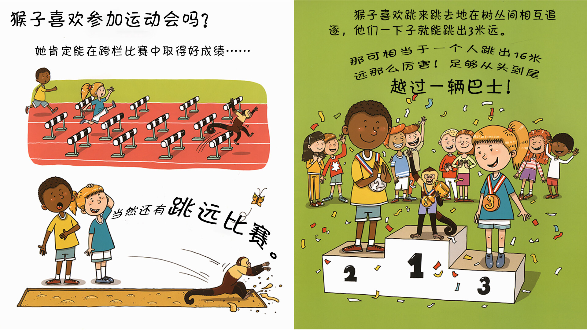 猴子会玩滑水吗？绘本故事第5页