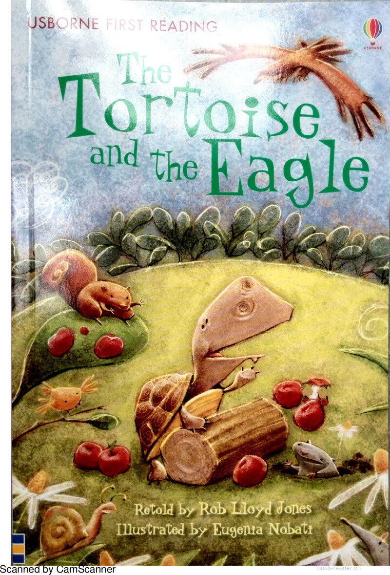 The Tortoise and the Eagle绘本故事第2页