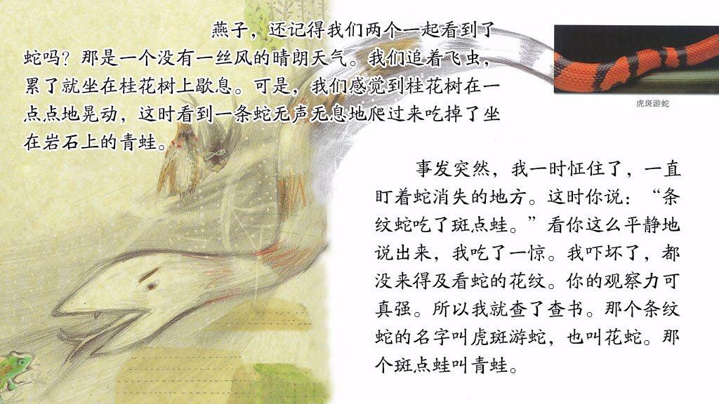 燕子，你还记得吗绘本故事第5页