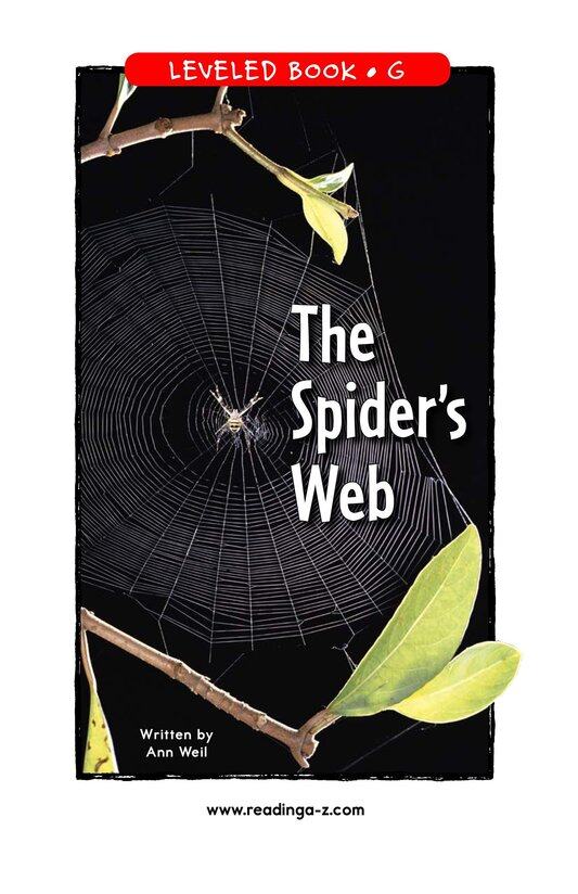 The Spider's Web绘本故事第2页