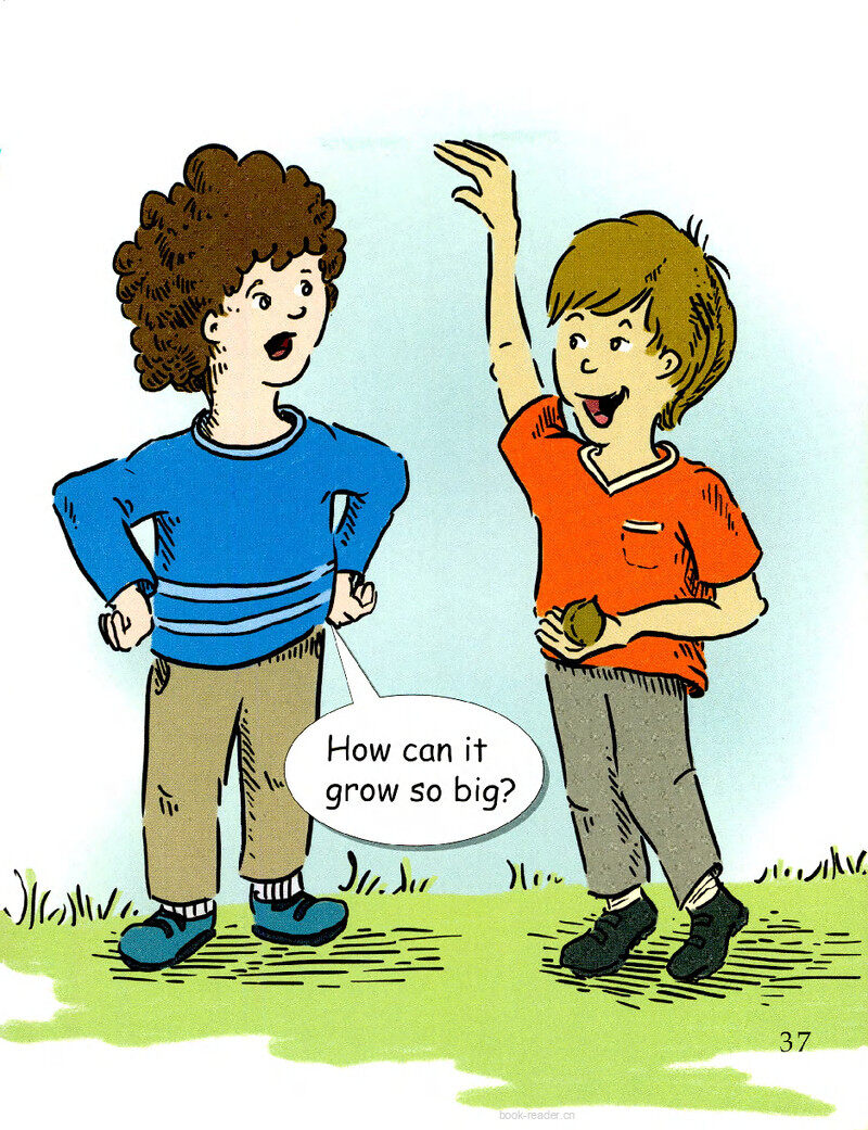 How Big Can It Grow?绘本故事第3页