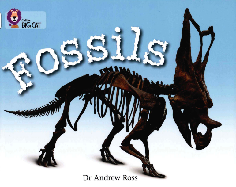 Fossils绘本故事第2页