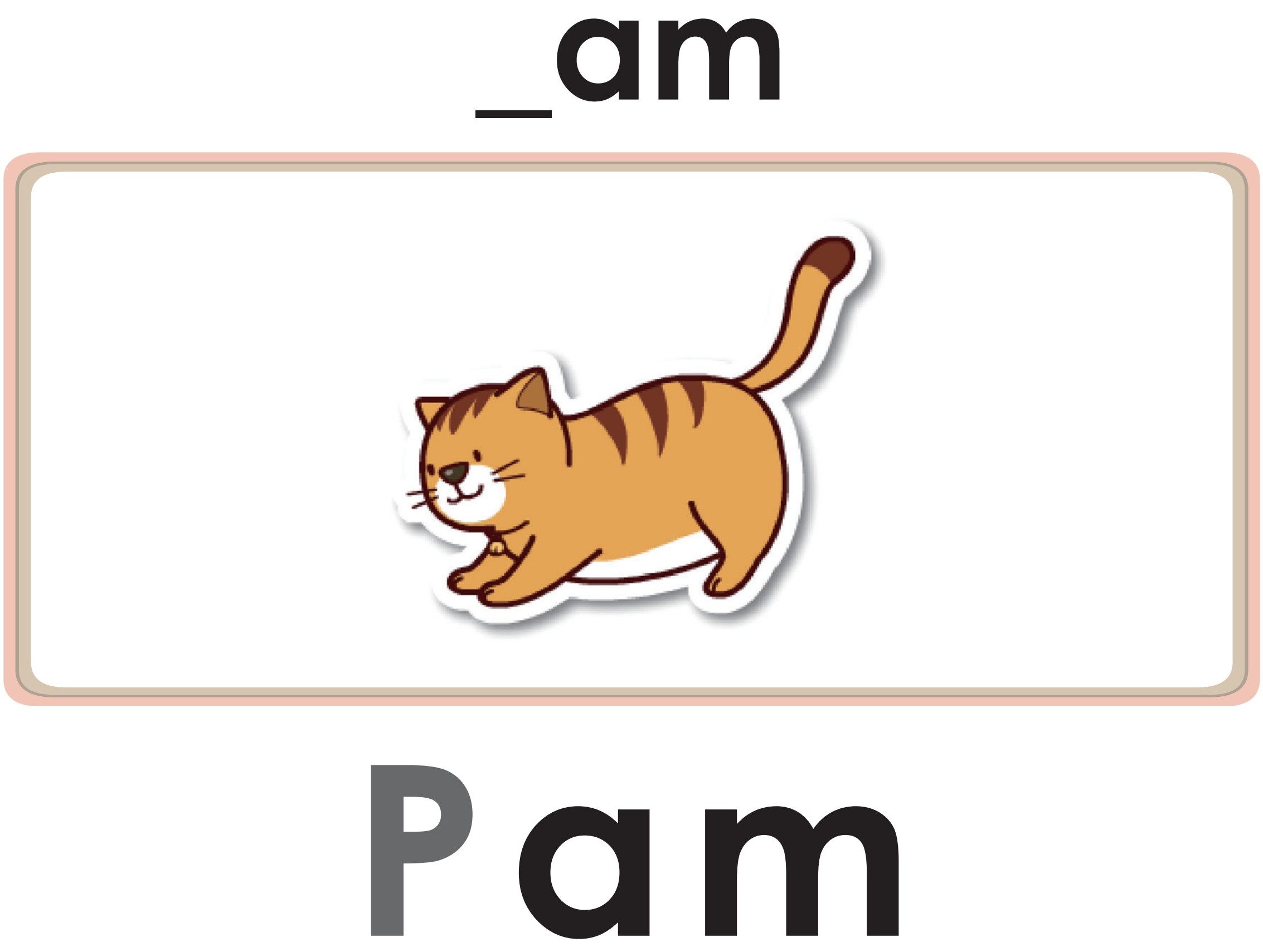 Sam Has Ham绘本故事第5页