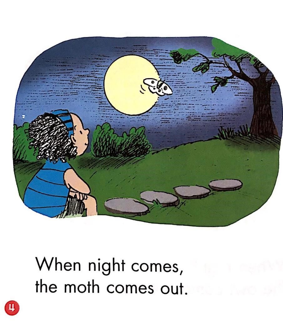 When night comes绘本故事第4页
