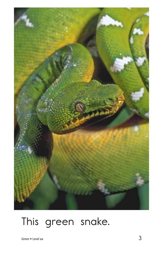 Green绘本故事第3页