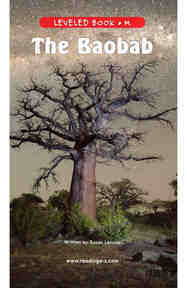 The Baobab