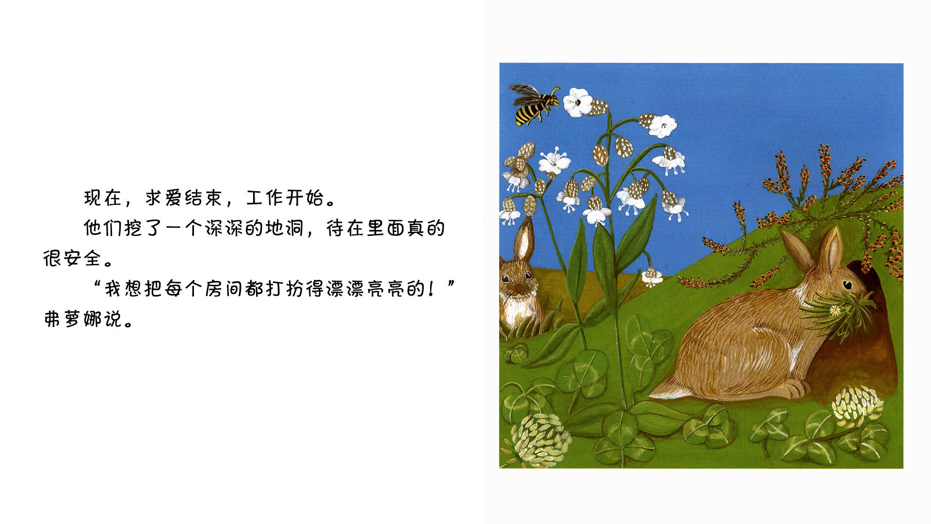 穴兔绘本故事第4页