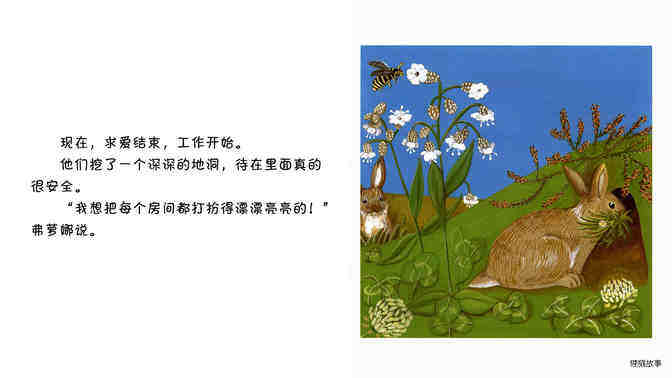 穴兔绘本故事第4页