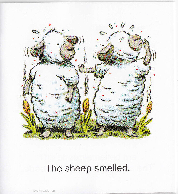 The Sheep Mess绘本故事第4页