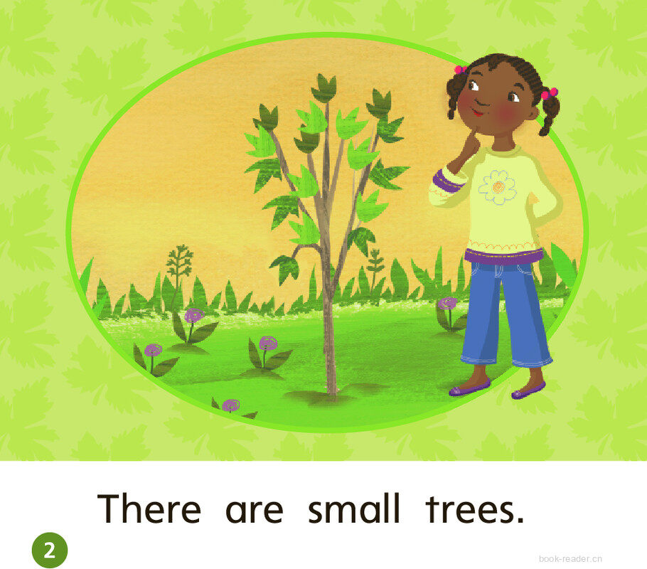 GK On U05W2 Many Trees绘本故事第3页