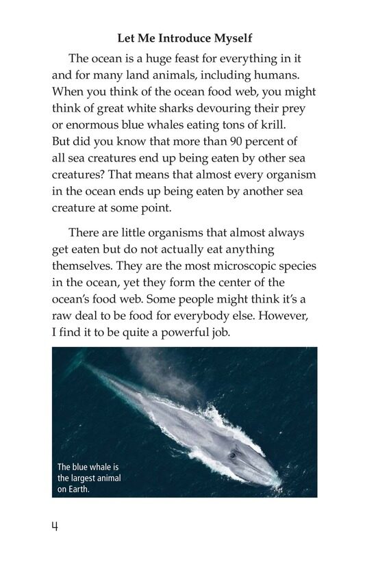 The Amazing Undersea Food Web绘本故事第3页