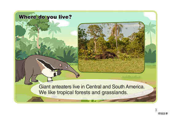 Giant Anteater绘本故事第4页