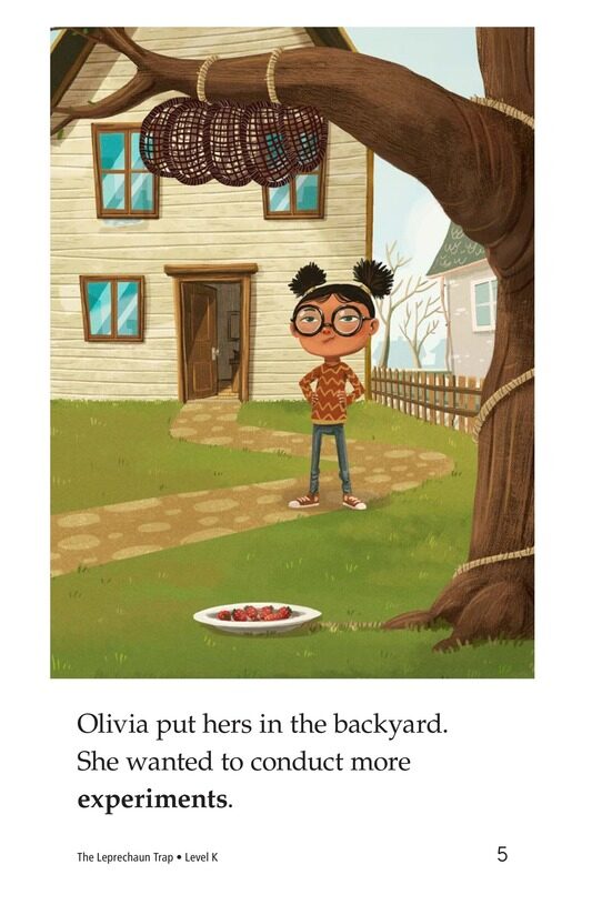 The Leprechaun Trap绘本故事第5页