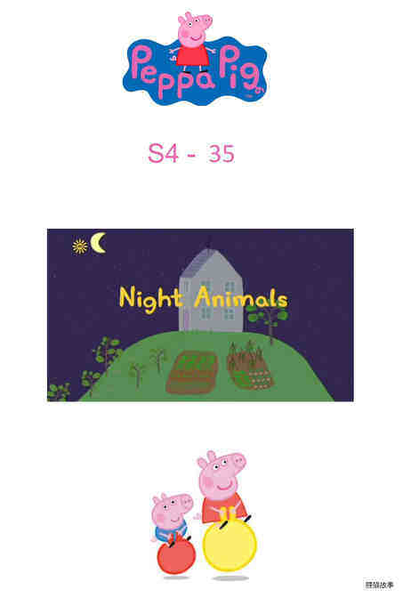 Night Animals