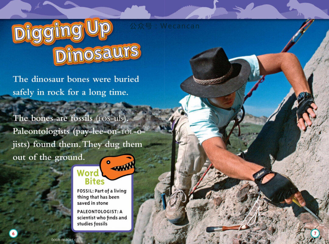 Dinosaurs绘本故事第4页