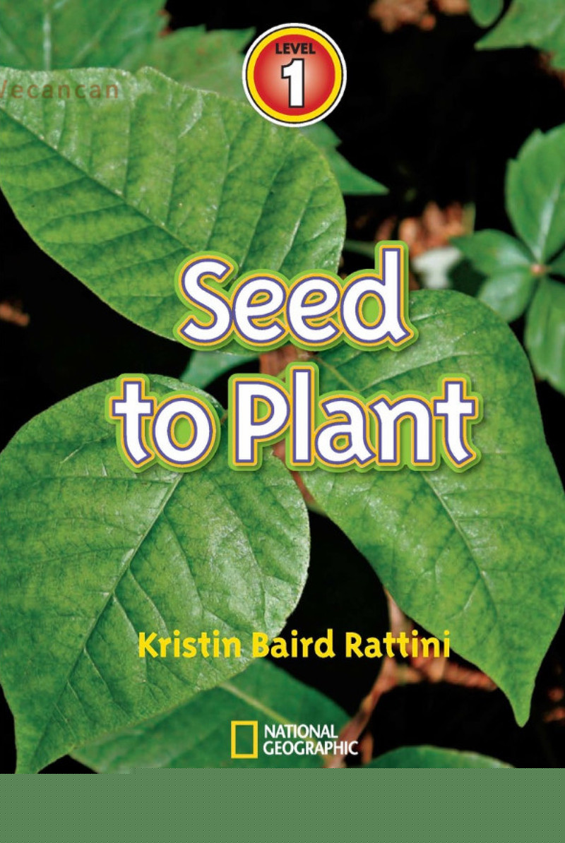 Seed to Plant