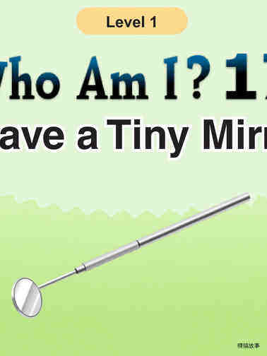 Who Am I -I Have a Tiny Mirror