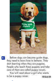 A Puppy Raiser绘本故事第5页