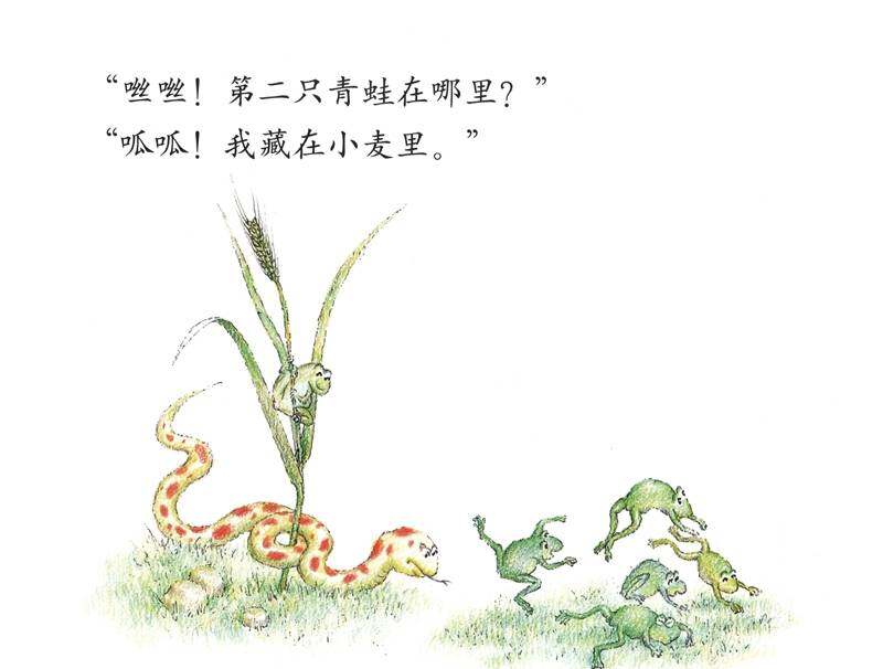 七只青蛙藏在哪儿绘本故事第4页