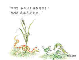 七只青蛙藏在哪儿绘本故事第4页