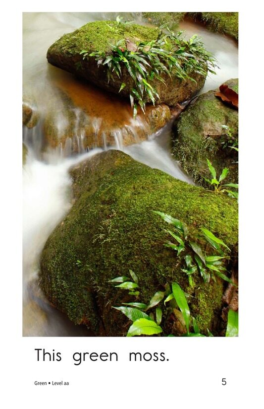 Green绘本故事第5页