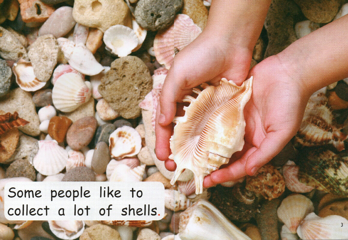 collecting绘本故事第3页