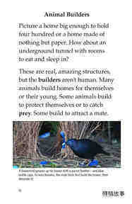 What Built This绘本故事第3页