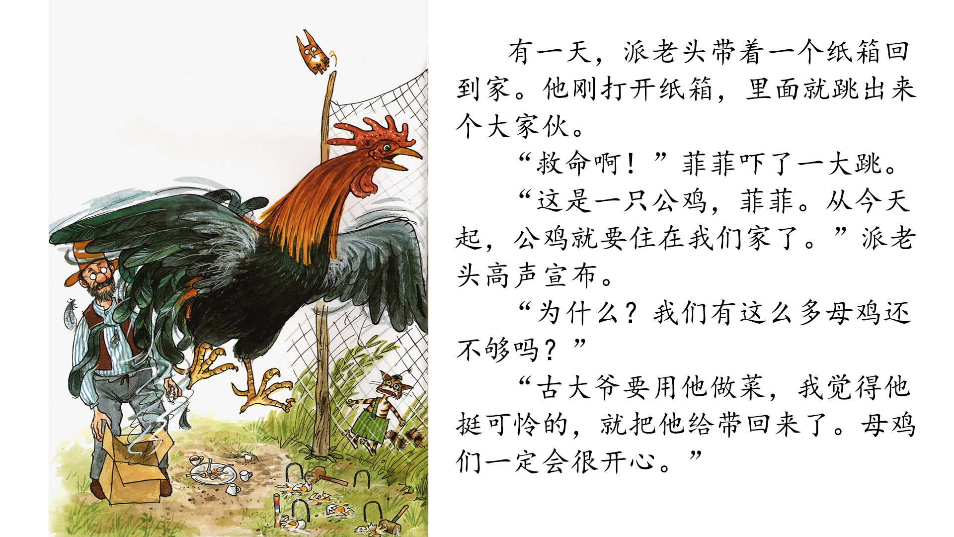 菲菲斗公鸡绘本故事第5页